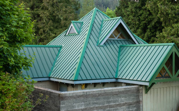 Best Skylight Installation and Repair  in Riverside, OH